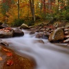 Jesienny strumień